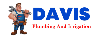 Trusted plumber in ANGLETON